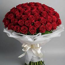 Букет 101 Красная роза Блэк Мэджик в Добрянке