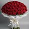 Букет 101 Красная роза Блэк Мэджик в Добрянке