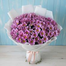 Букет цветов из:  Хризантемы в Добрянке