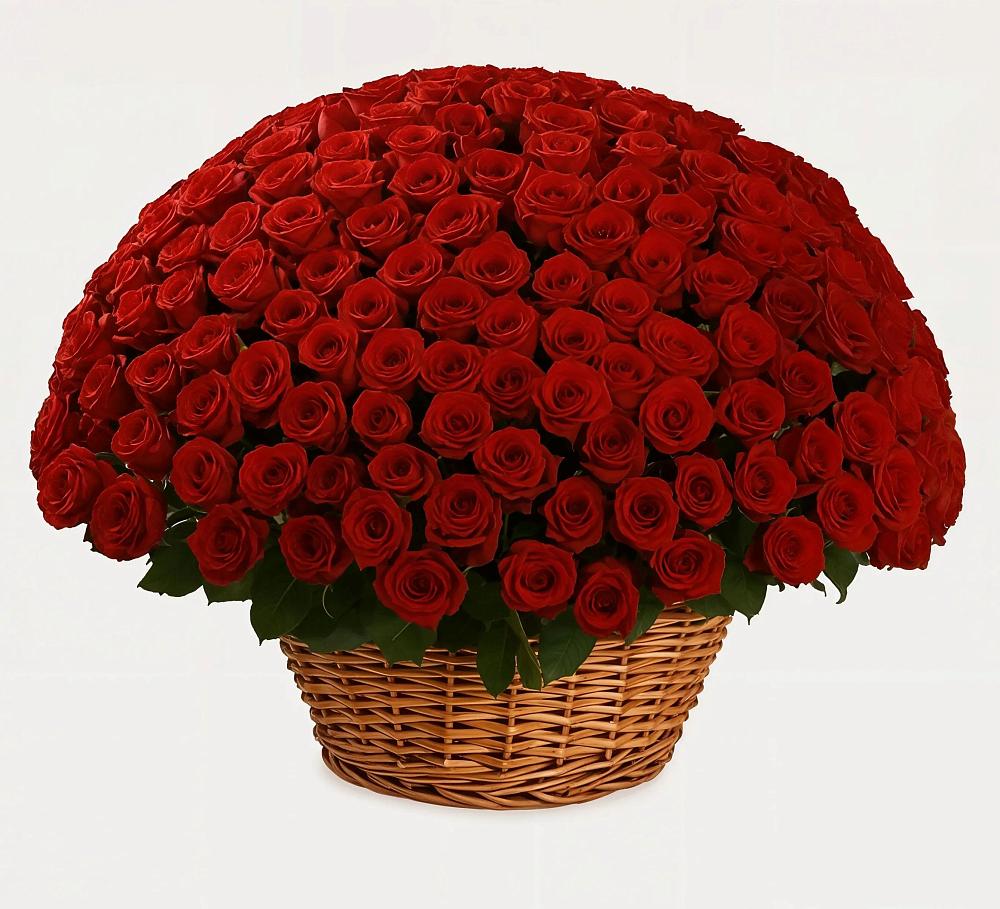 Премиум букет из: Розы в Добрянке