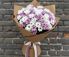 Букет цветов из:  Хризантемы #REPLACE_PRED# Добрянке