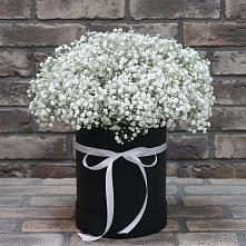 Цветочная композиция из Гипсофила в шляпной коробке в Добрянке